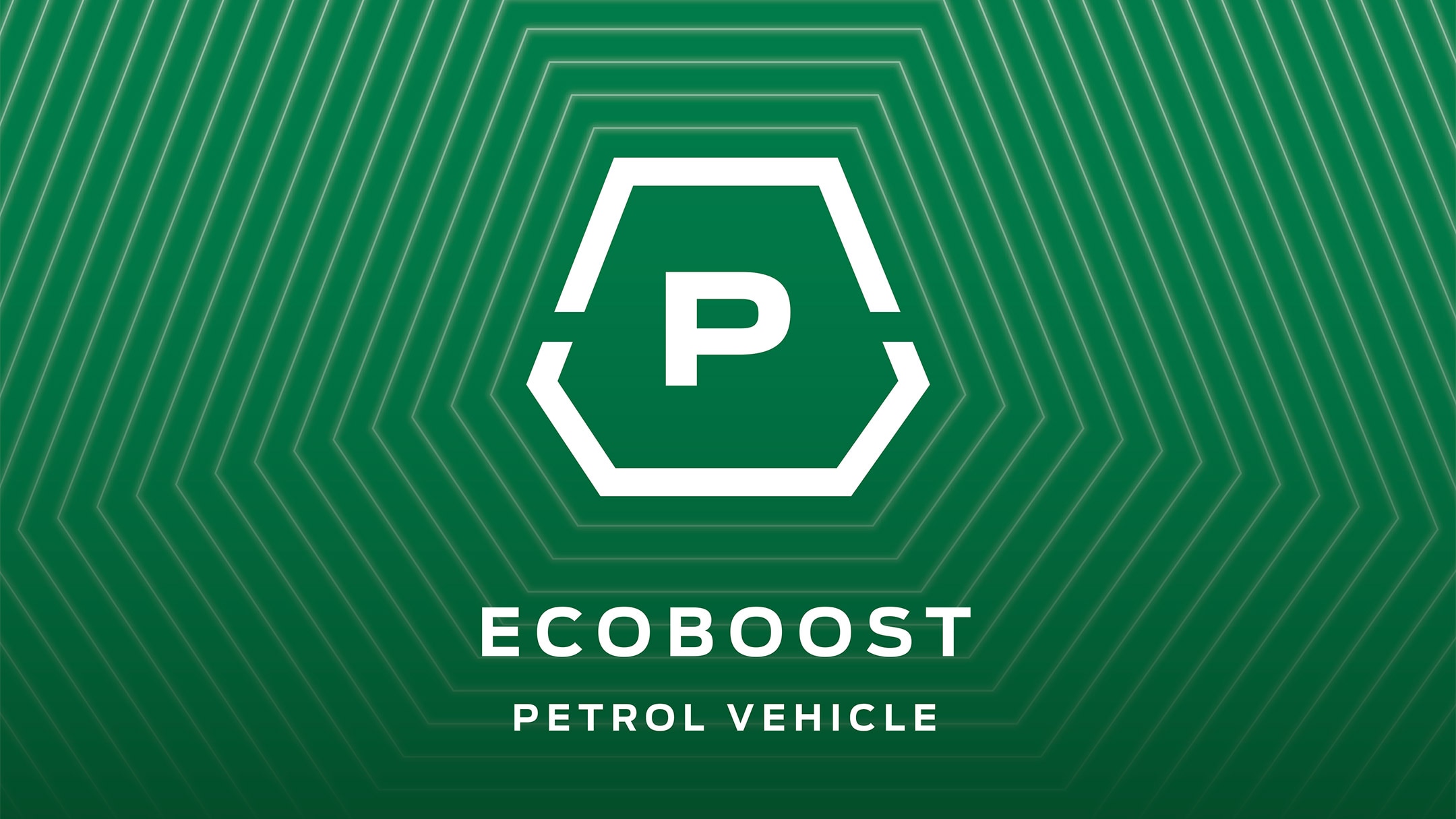 Ecoblue Benzina