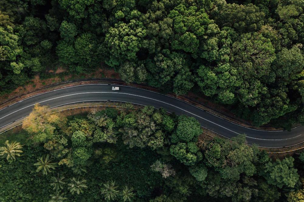 Visuale aerea di una strada in un bosco