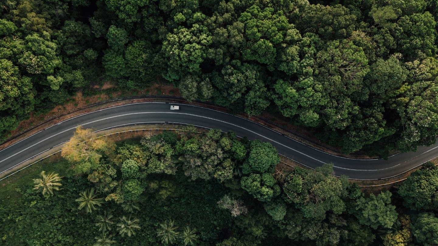 Visuale aerea di una strada in un bosco