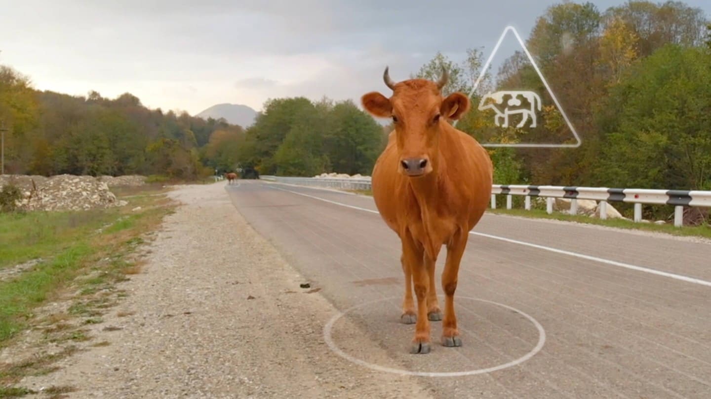 Presenza di una mucca su una strada extraurbana e animazione grafica degli avvisi sui pericoli