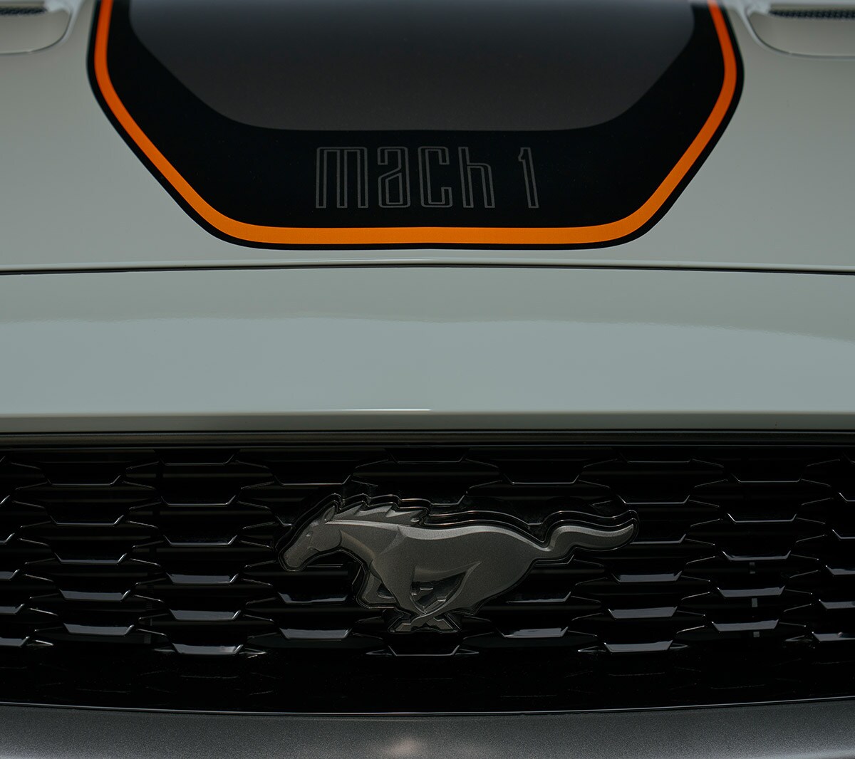 Ford Mustang Mach 1 bianca. Vista dettagliata del logo con il pony sulla calandra